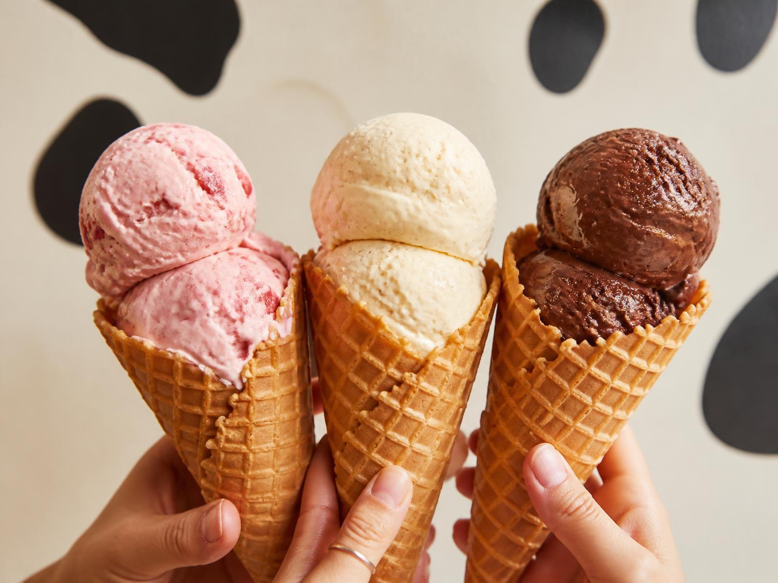 Three waffle cones with strawberry, vanilla and chocolate scoops held up in front of a cream wall painted with black cow spots